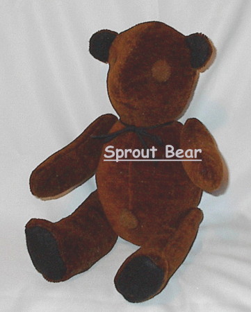 SPROUTBEAR.JPG